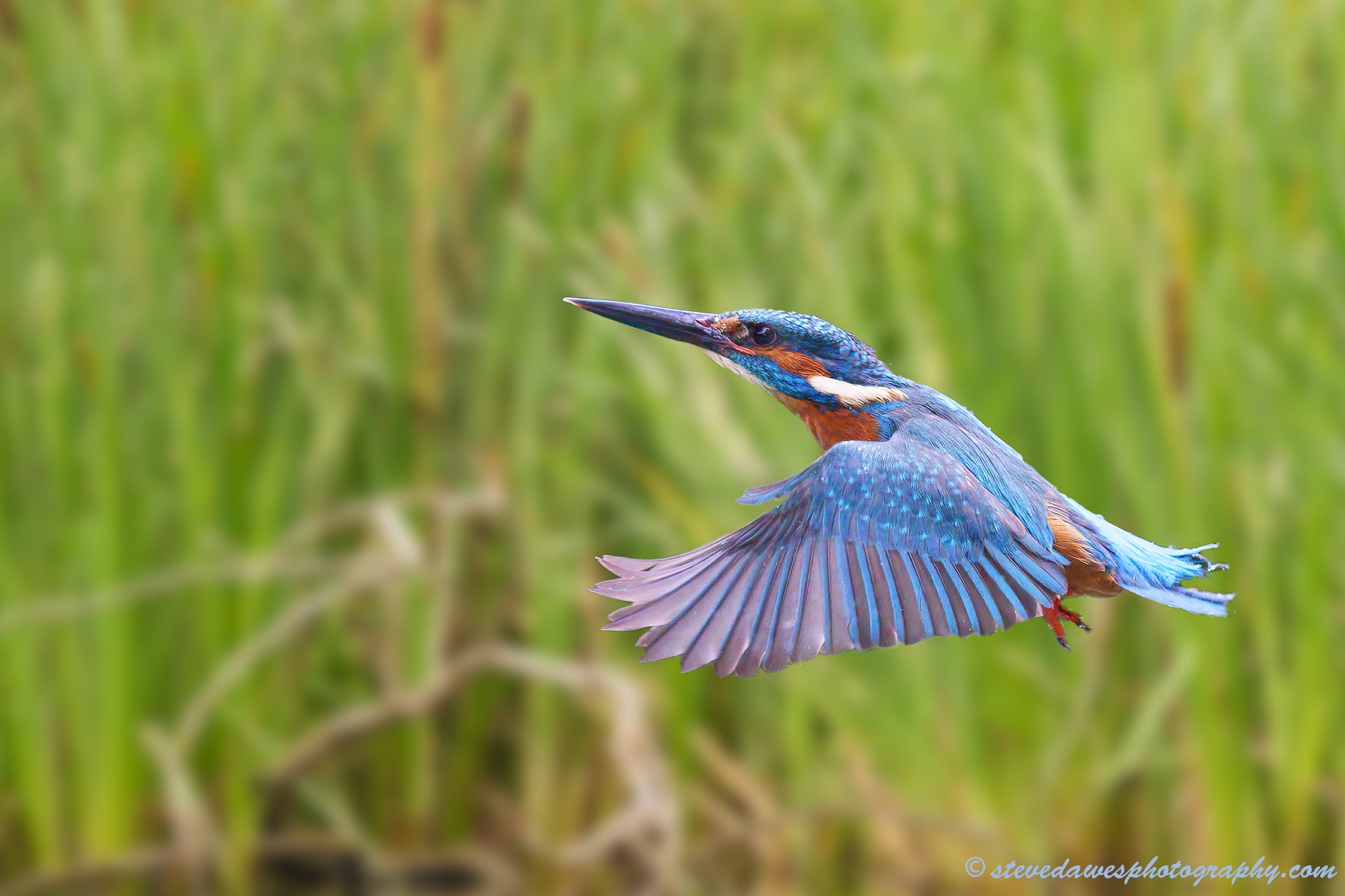 SCD05461-Edit-1.jpg