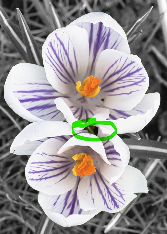 Screenshot 2023-03-19 115653.jpg