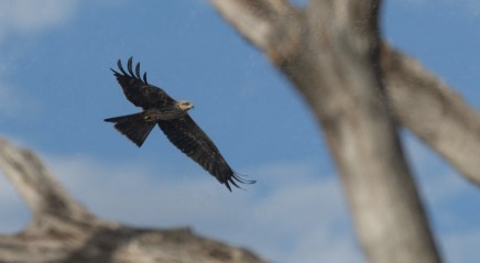 Screenshot 2026-02-28 111249.jpg