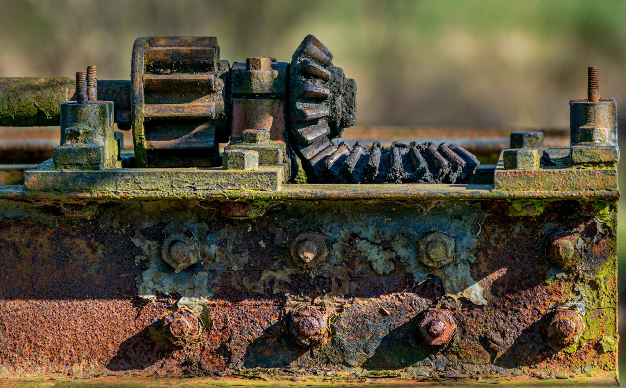Shaft Drive .jpg