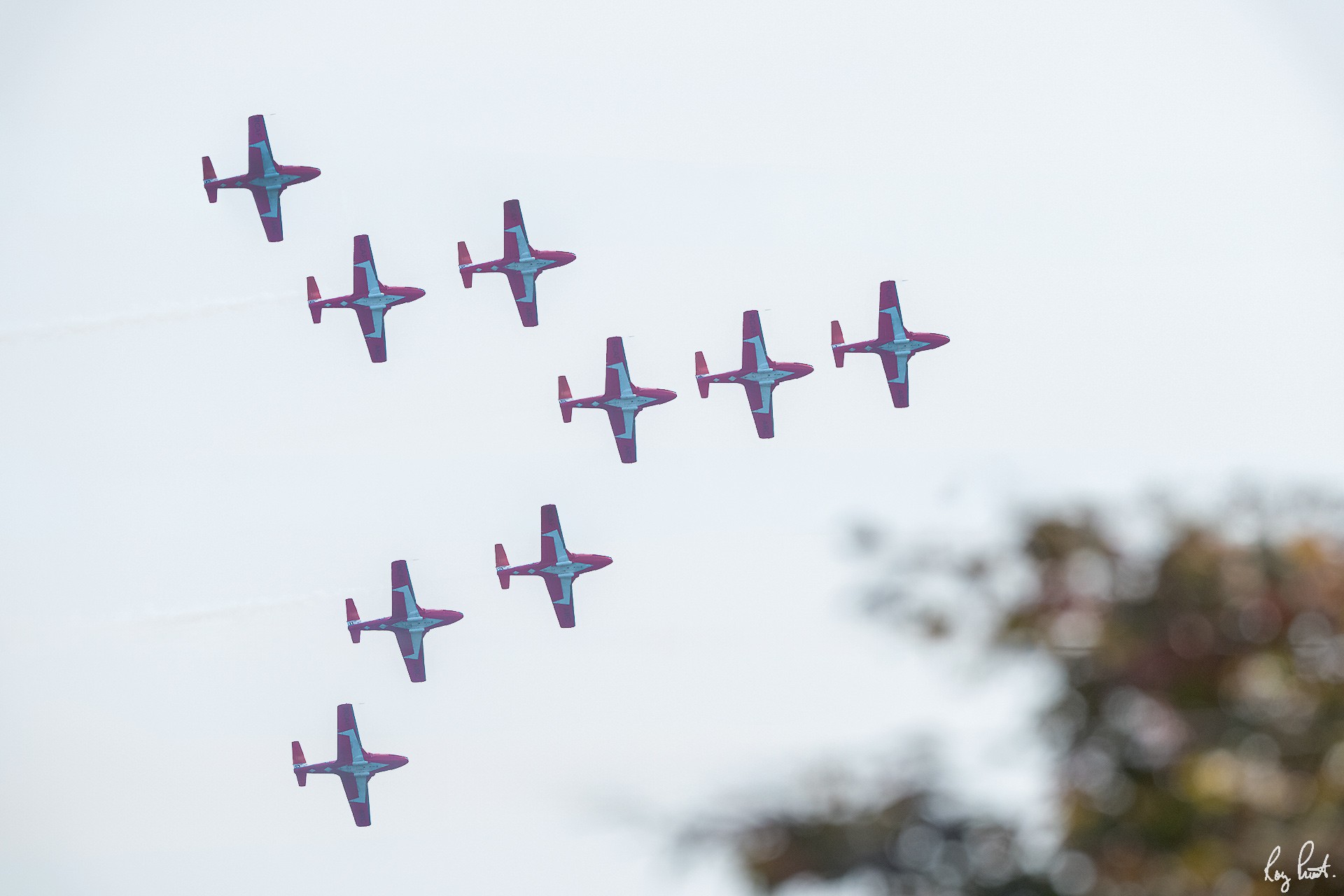 Snowbird-6555.jpg