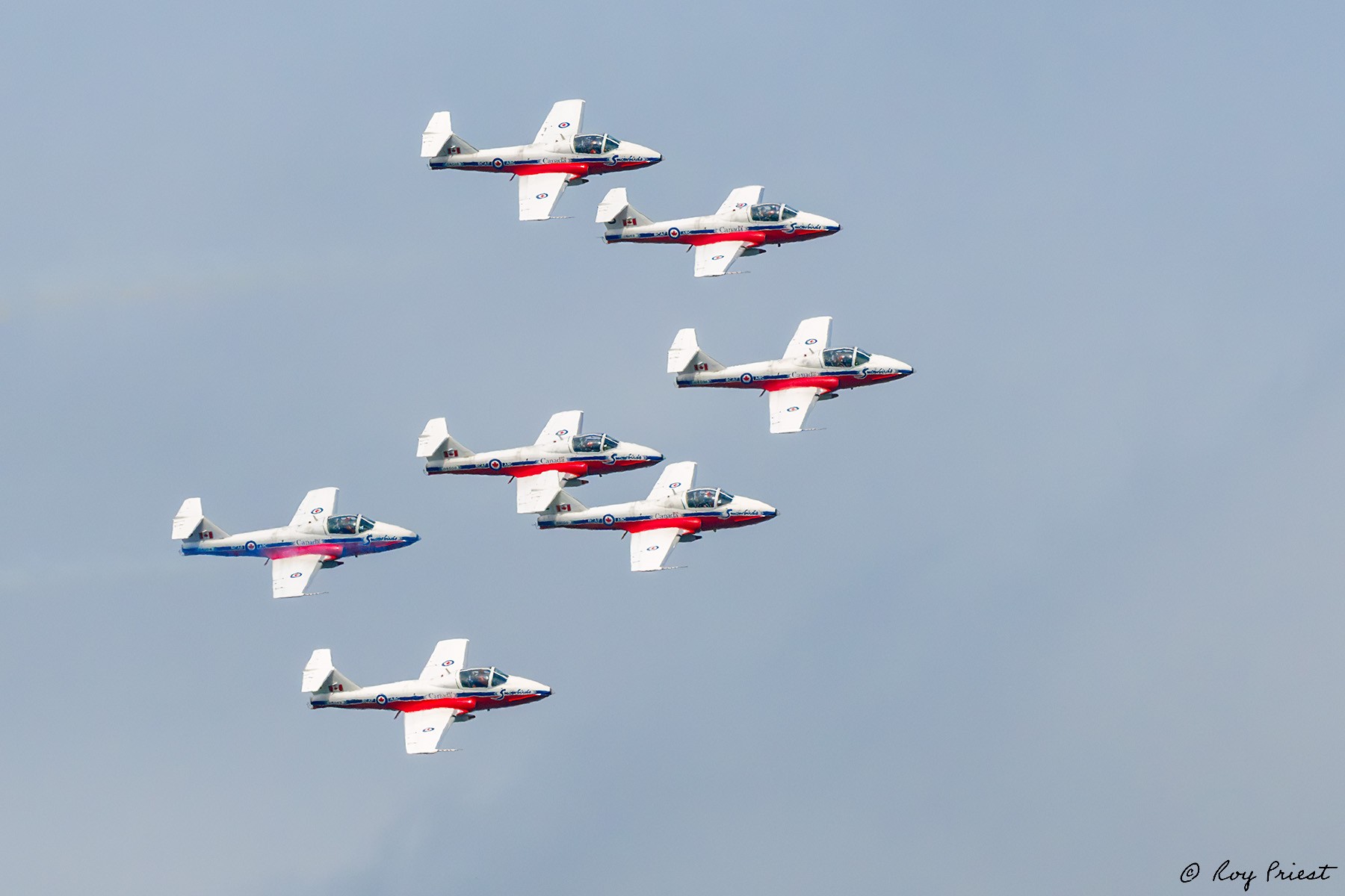 Snowbirds-27657.jpg