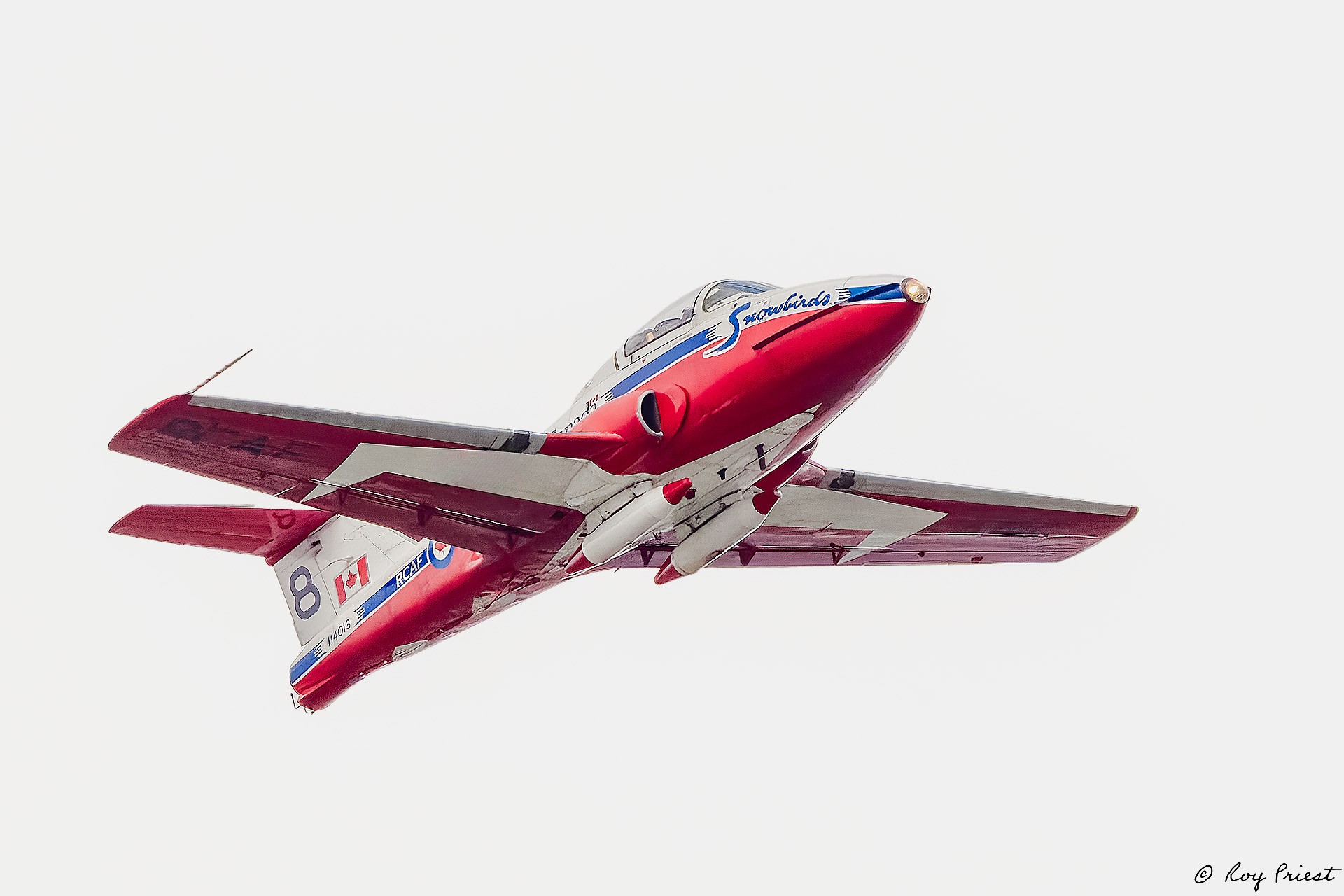 Snowbirds-27957.jpg