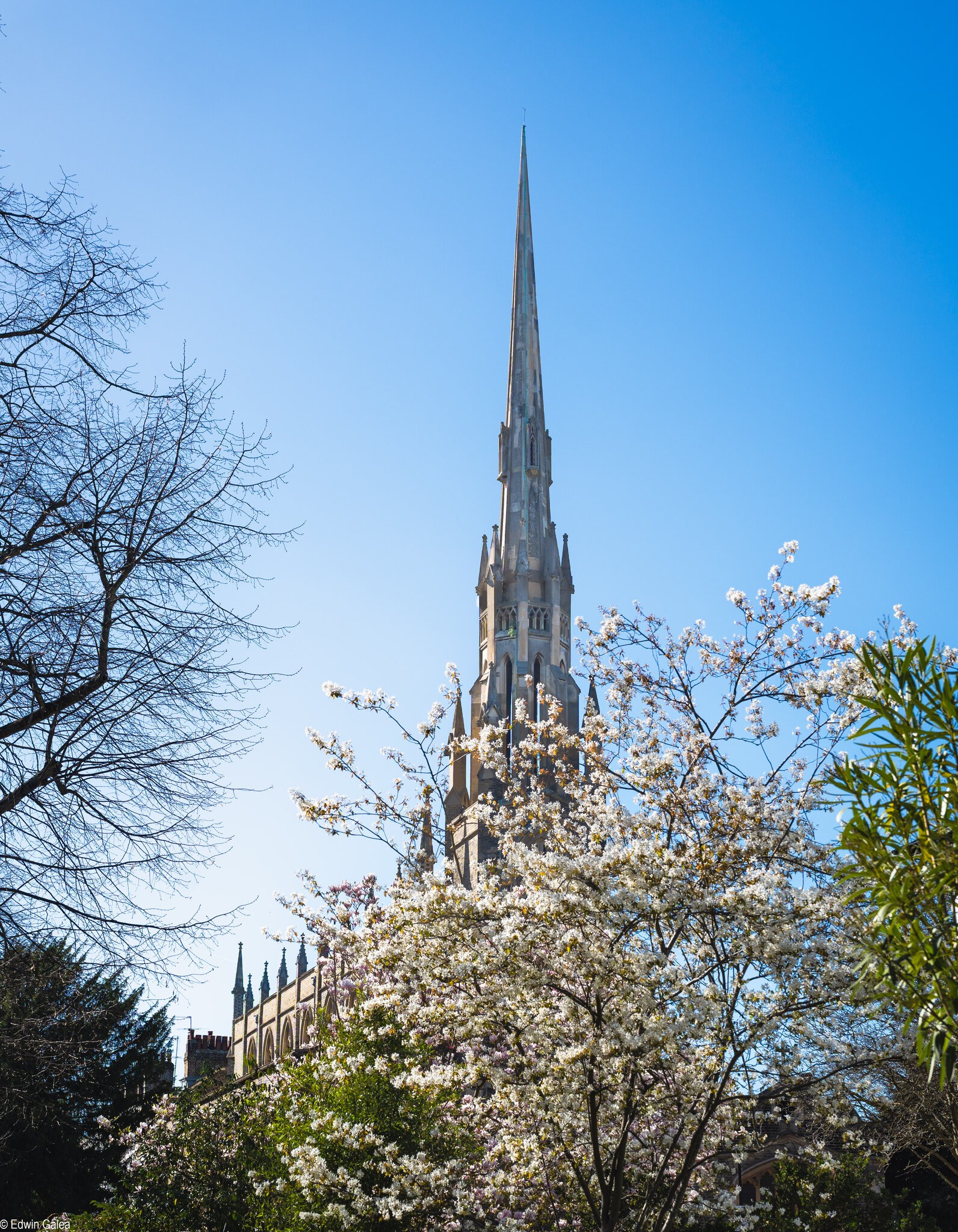 StMichael_and_all_angels-9.jpg