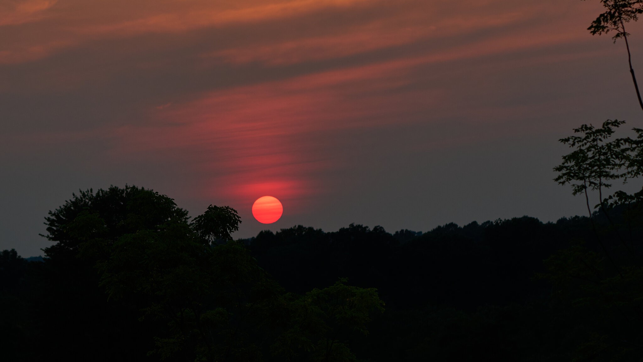Sunset - Longwood - 08142026 - 01.jpg