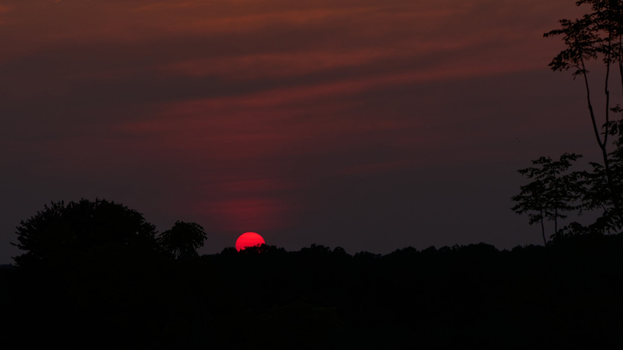 Sunset - Longwood - 08142026 - 03.jpg