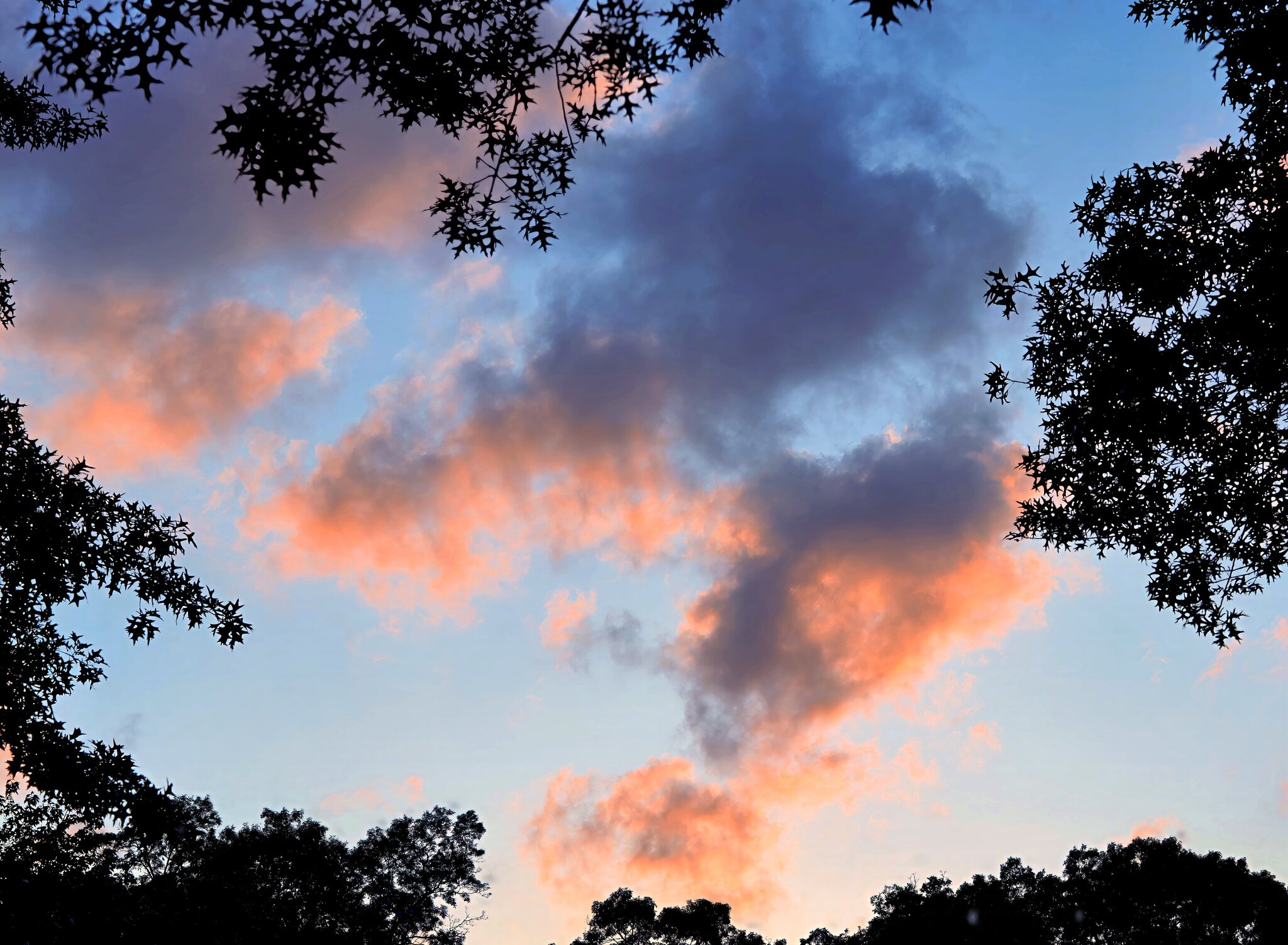 Sunset3 SM Final.jpg