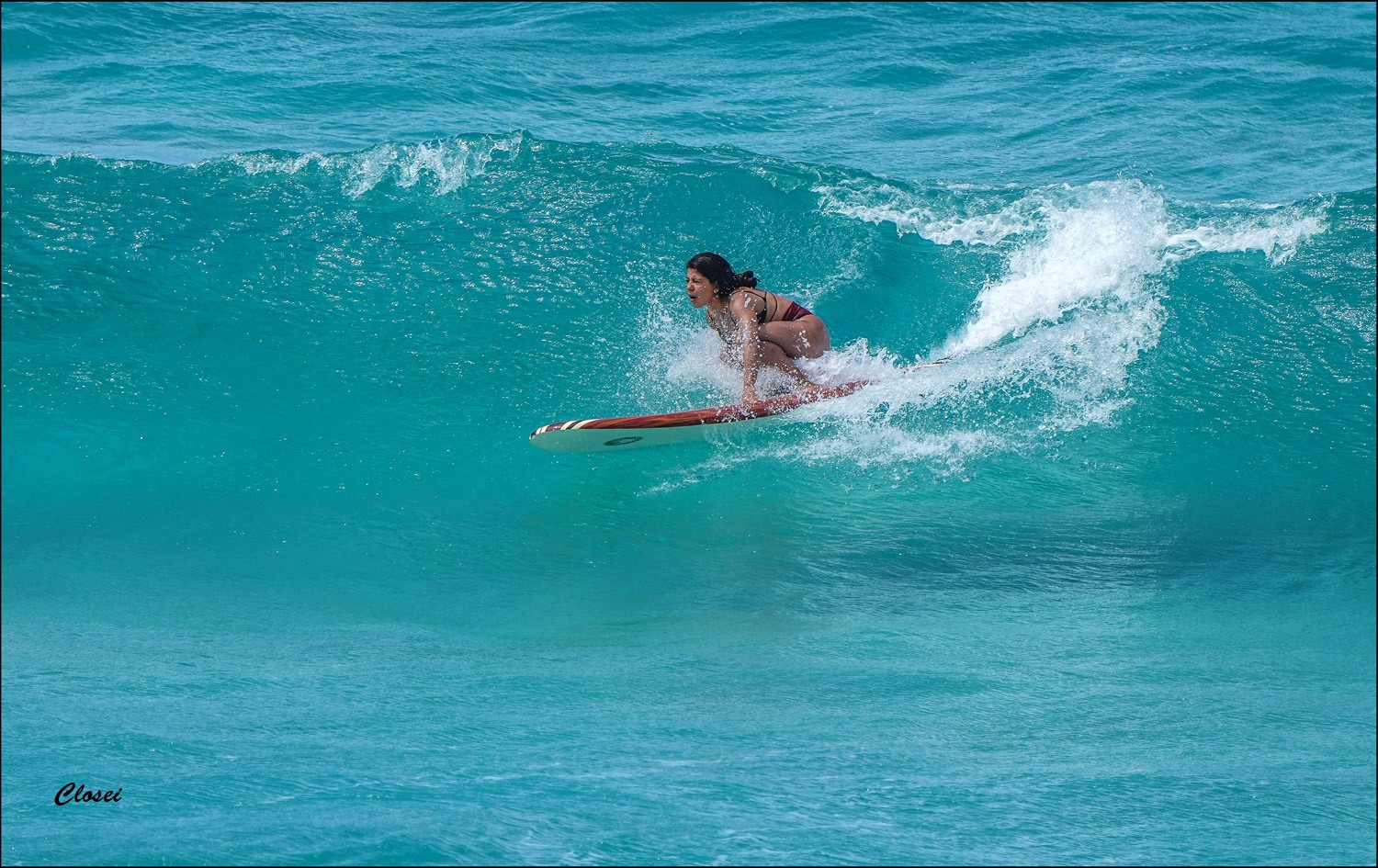 Surfer r.jpg