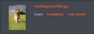 thumbnail-full-image.jpg