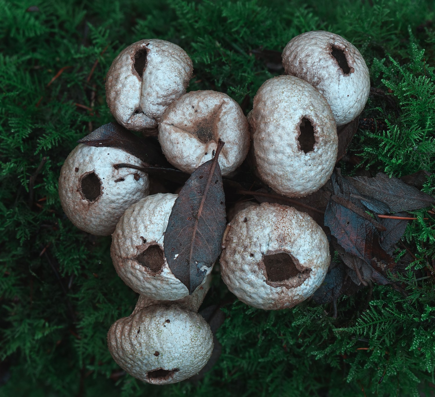 untitled (2 of 2).jpg