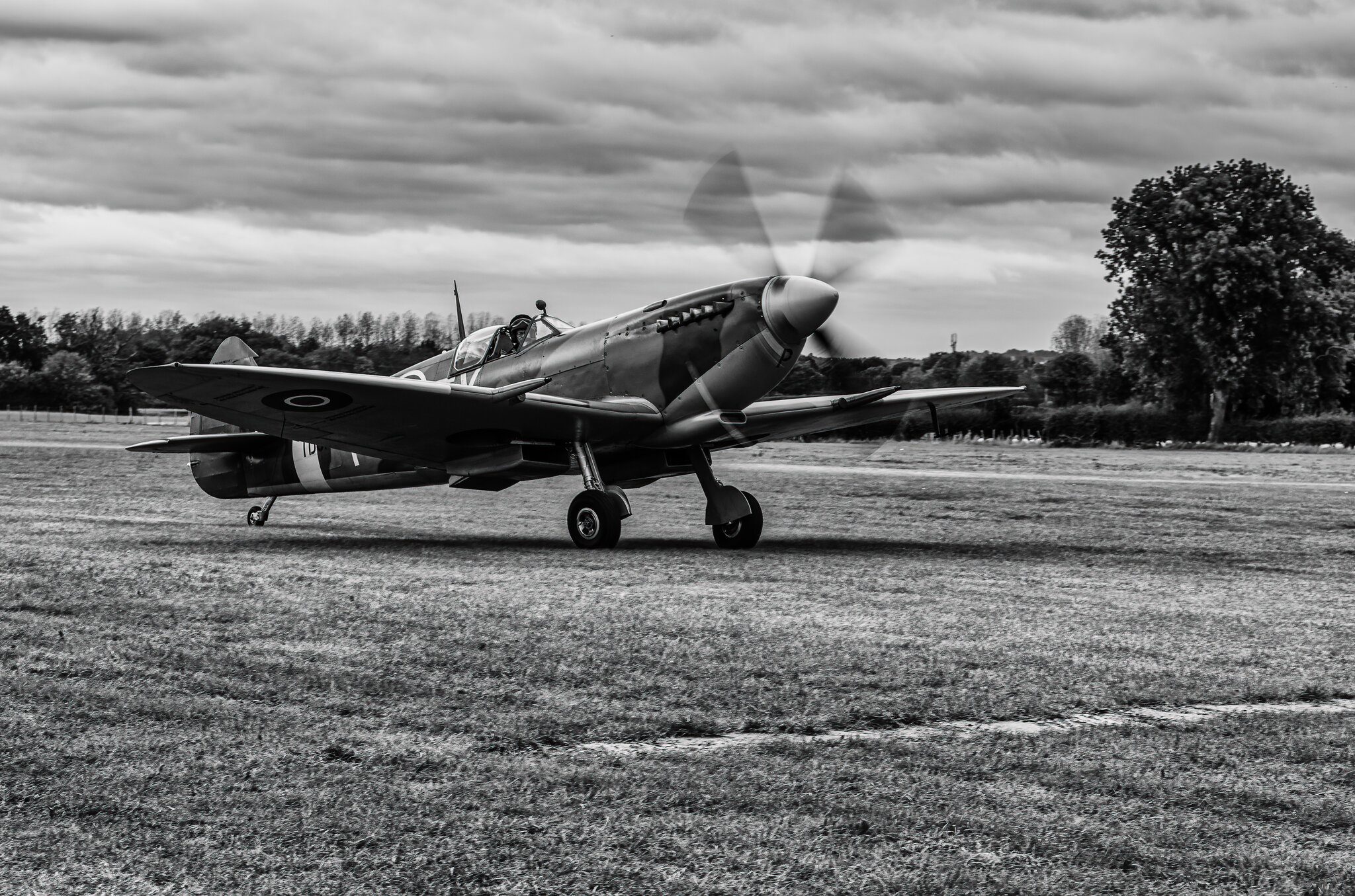 untitled-499-Edit.jpg
