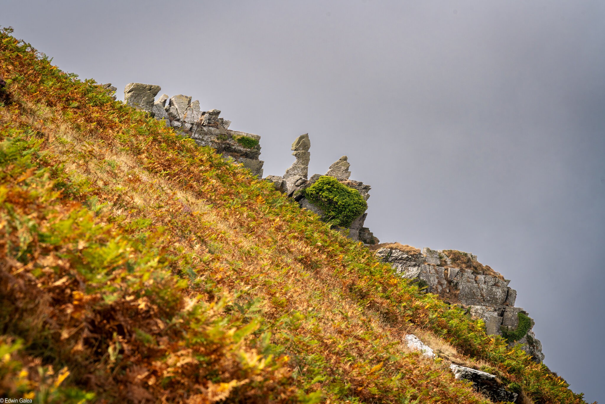 valley of the rocks-4.jpg