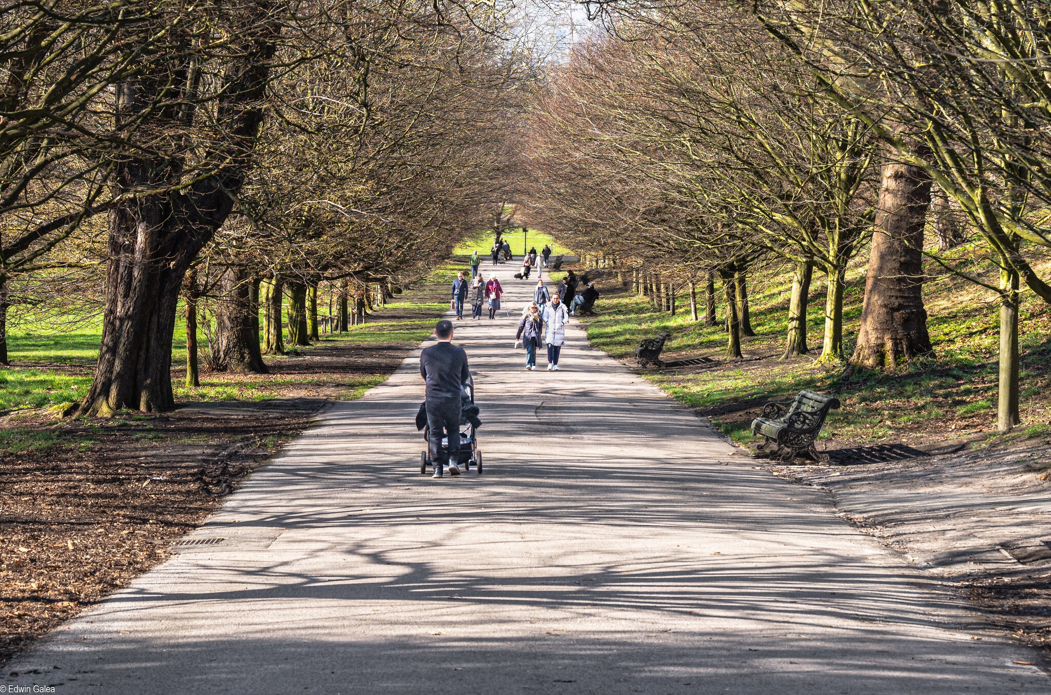 walk in the park-4.jpg