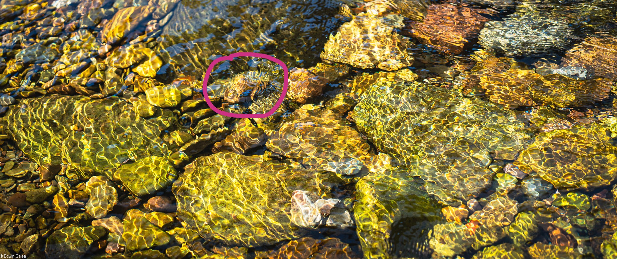 water colours-4_edited.jpg