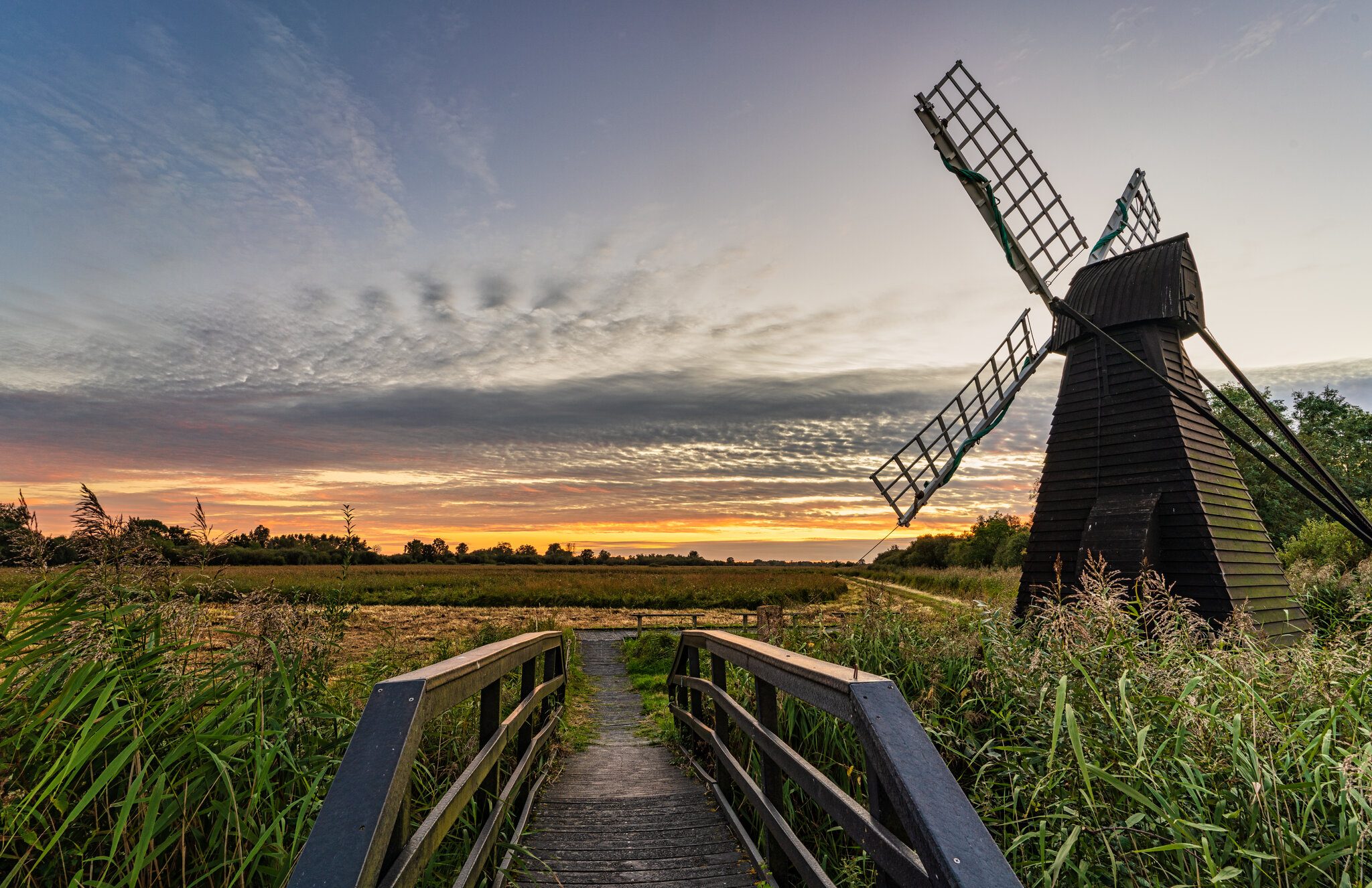 Windmill.jpg