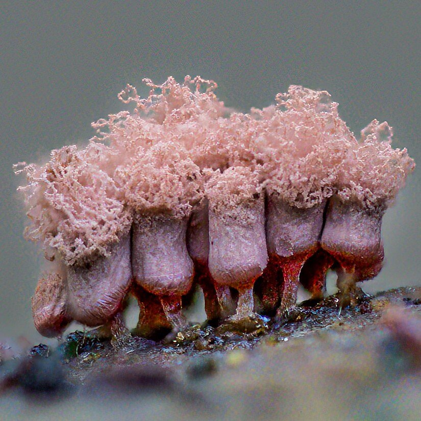 2026-03-11 20-23-01 24760311 A1A00001-Edit20260311fb.jpg