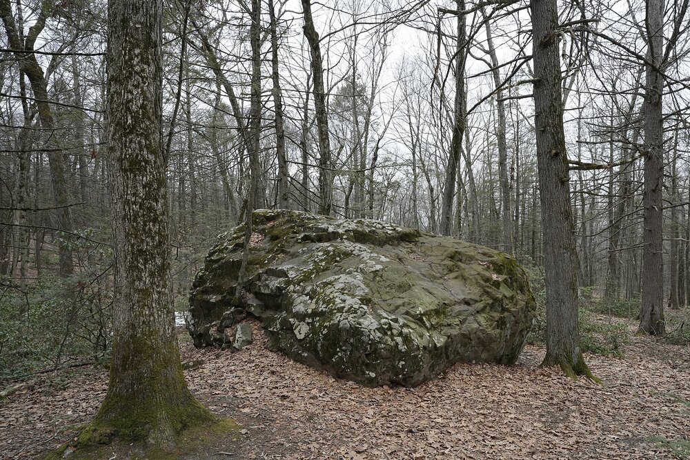 Big Rock in Woods on a Cloudy Day