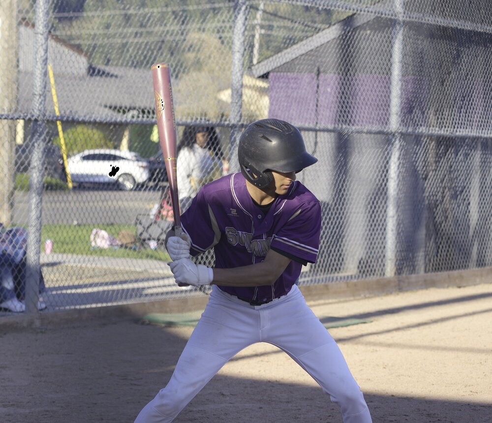 Ant_swing.JPG