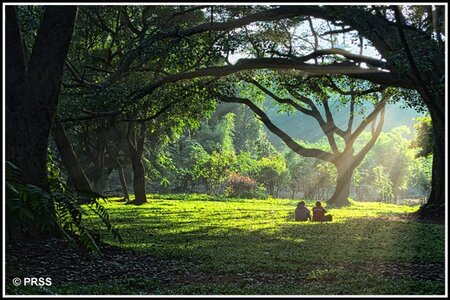 Cubbon Park-lores.jpg