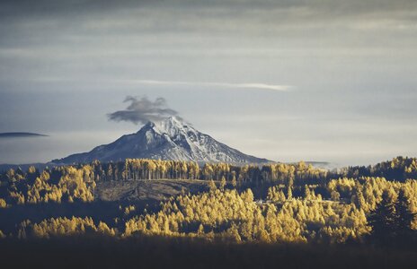 A7301880v3.jpg A7301880v3.jpg