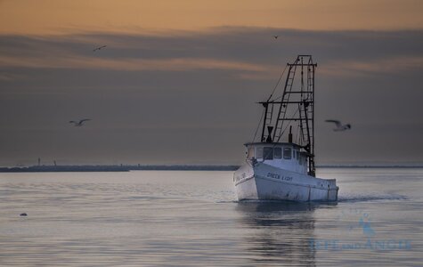 Angiebirmingham_shrimpBoat sunrise-10.jpg