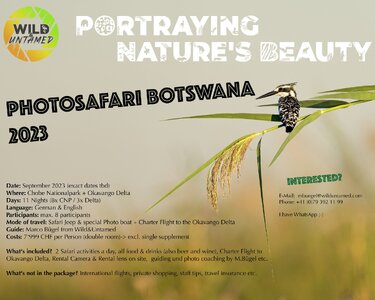 Fotosafari Botswana 2023_EN.jpg