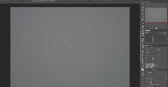 spot multi ps.jpg