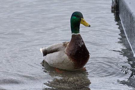 DSC00107.jpg