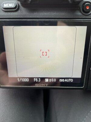 21F96CA7-A369-4361-94A8-CCE4130BD111.jpeg