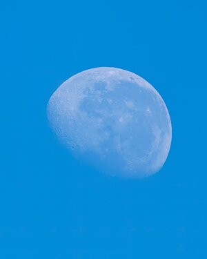 day-moon-May2023.jpg