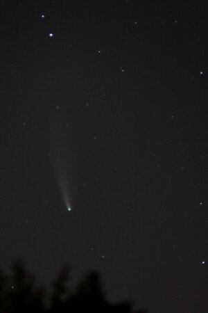 comet3367.jpg