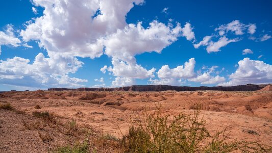 20231011_Utah_76_0840.jpg