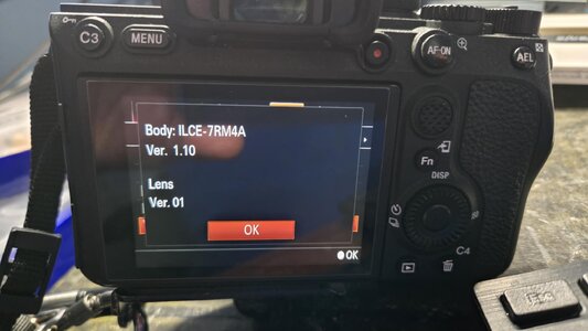 Sony Software Version screen.jpg