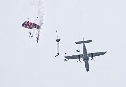 25A06120COSFORD falcons.jpg