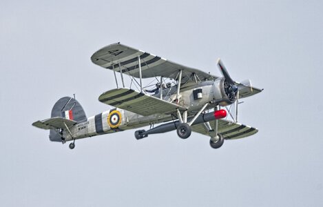 25A09456COSFORD swordfish.jpg