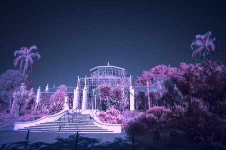 _7RV6080_Infra_Red_Test_1.jpg