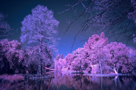 _7RV6085_Infra_Red_Test_2.jpg