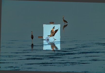 Screenshot 2025-07-07 at 8.00.20 PM.jpg