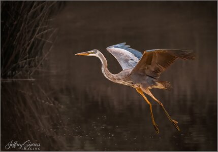 GBH6-25-1.jpg