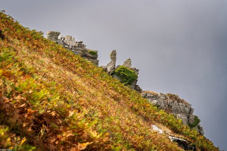 valley of the rocks-4.jpg
