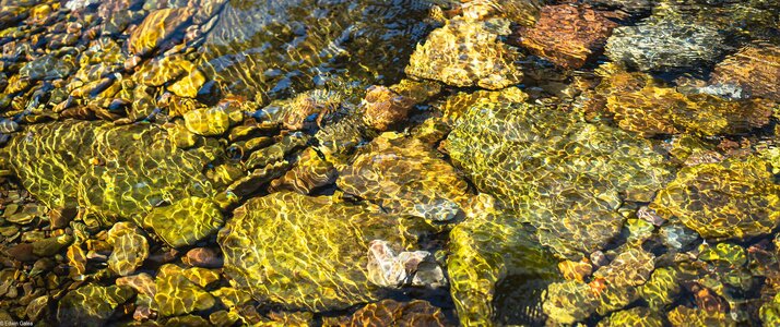 water colours-4.jpg