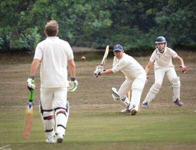 cricket -3.jpg