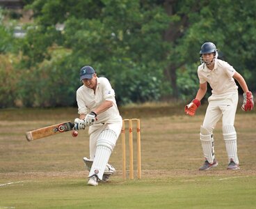 cricket -4.jpg