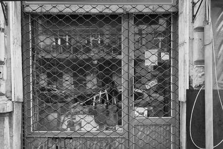 DSC00519Budapest.jpg