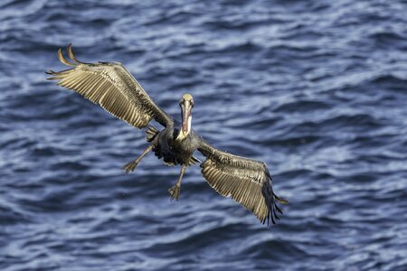 54941902342_500209a5d8_o (1).jpg