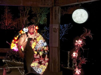 25A03865bridgewater glow moonlight gardener.jpg