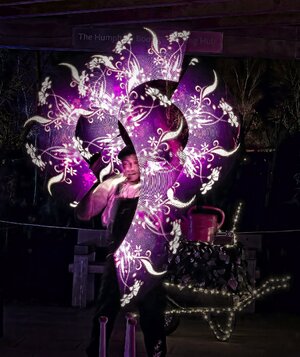 25A04256bridgewater glow moonlight gardener.jpg