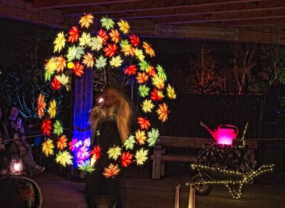 25A04280bridgewater glow moonlight gardener.jpg