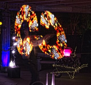 25A04294bridgewater glow moonlight gardener.jpg