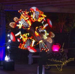 25A04297bridgewater glow moonlight gardener.jpg